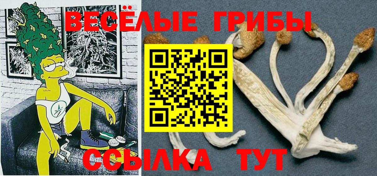 Псилоцибиновые грибы Magic Shrooms  Вход с VPN  Гатчина 