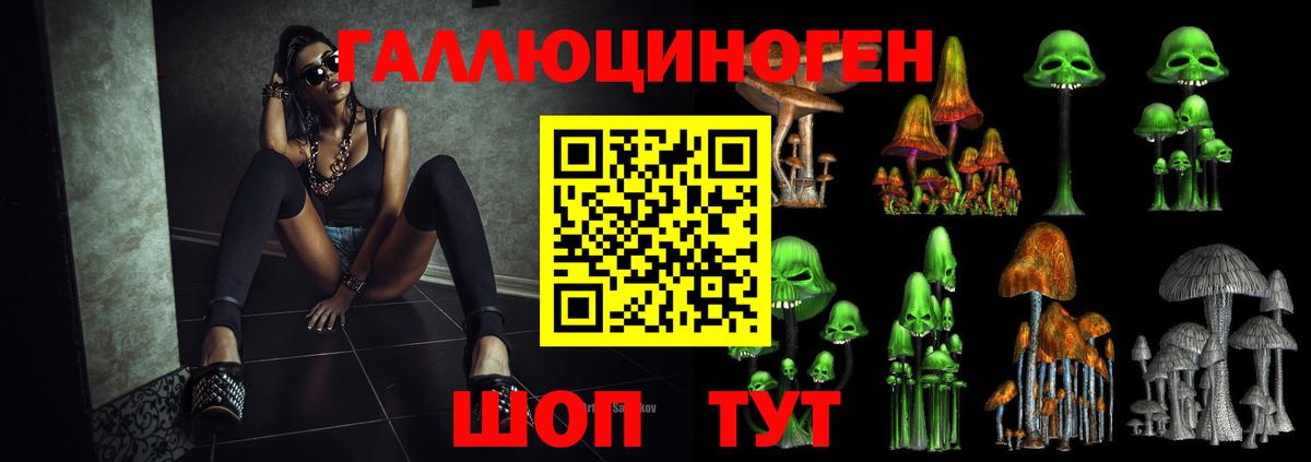 Галлюциногенные грибы Psilocybe Гатчина